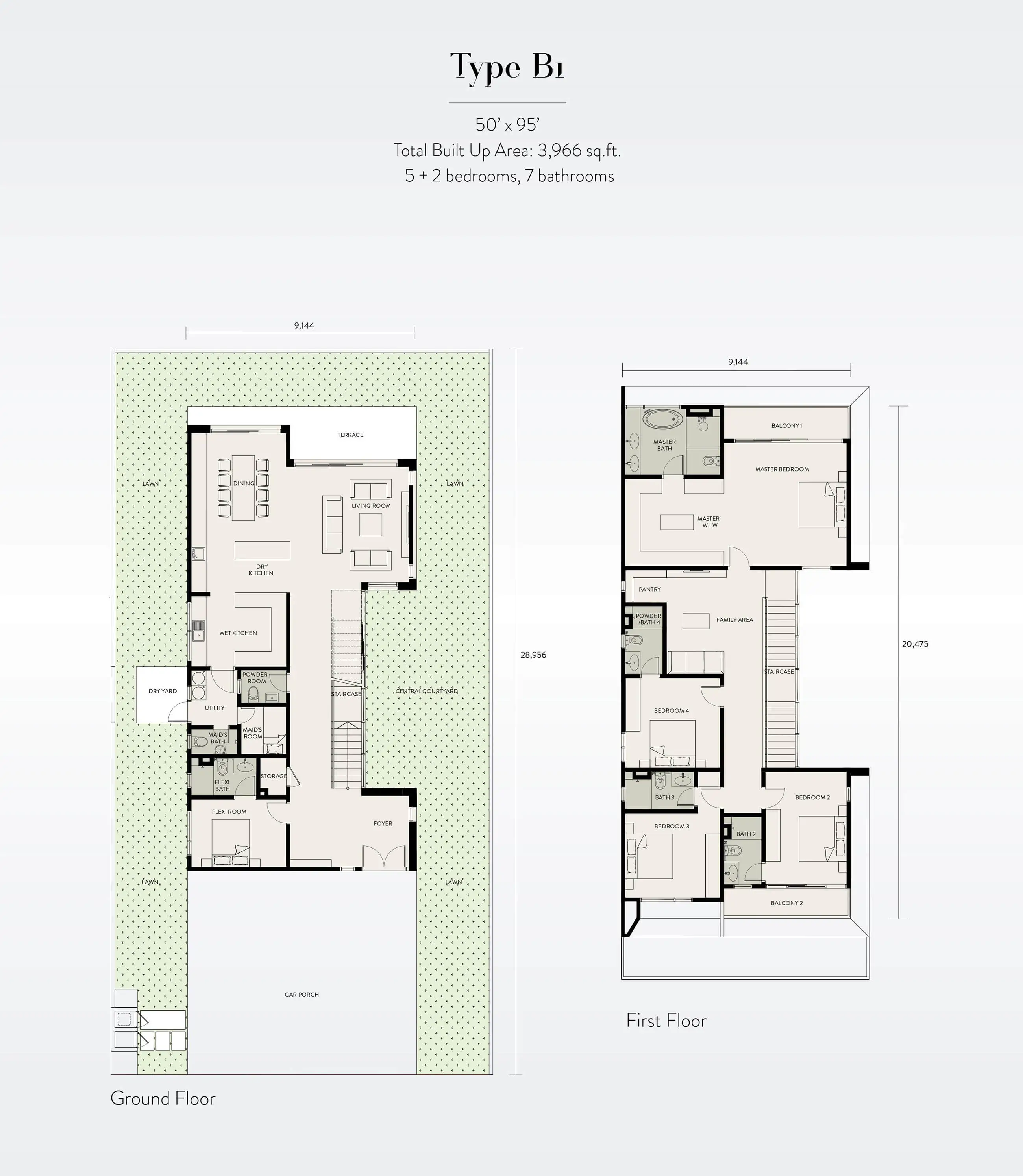 The Waterlily Type B1